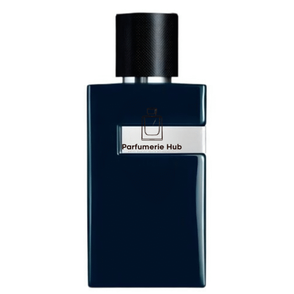 Y Le Parfum 2025 for men