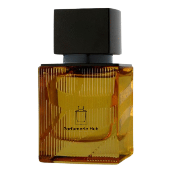 Amber  for women and men