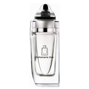 Roadster for men