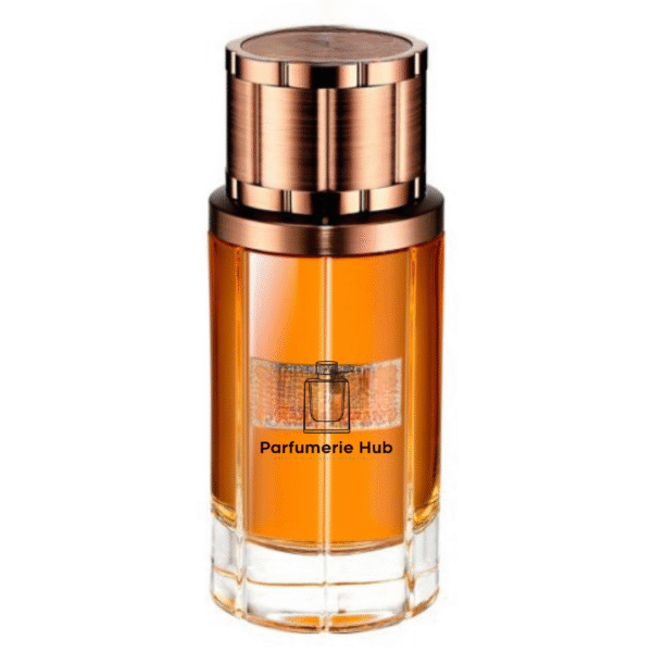 Amber Malaki for women and men
